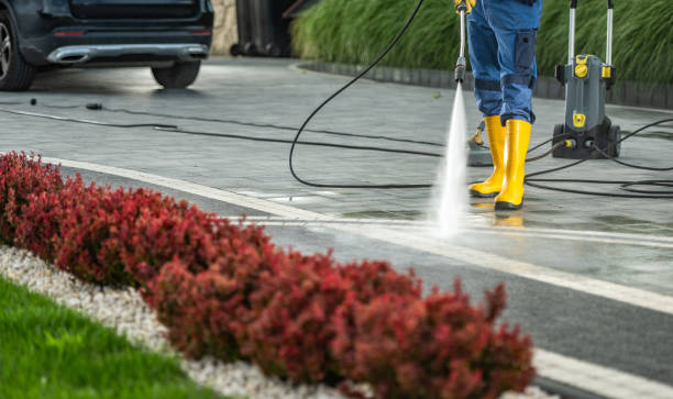 Best Roof Washing  in Linden, NJ